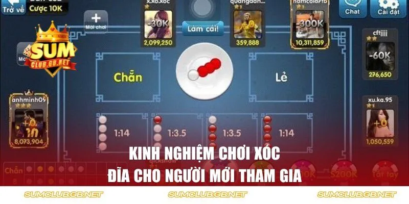 Kinh nghiệm chơi xóc đĩa cho người mới tham gia